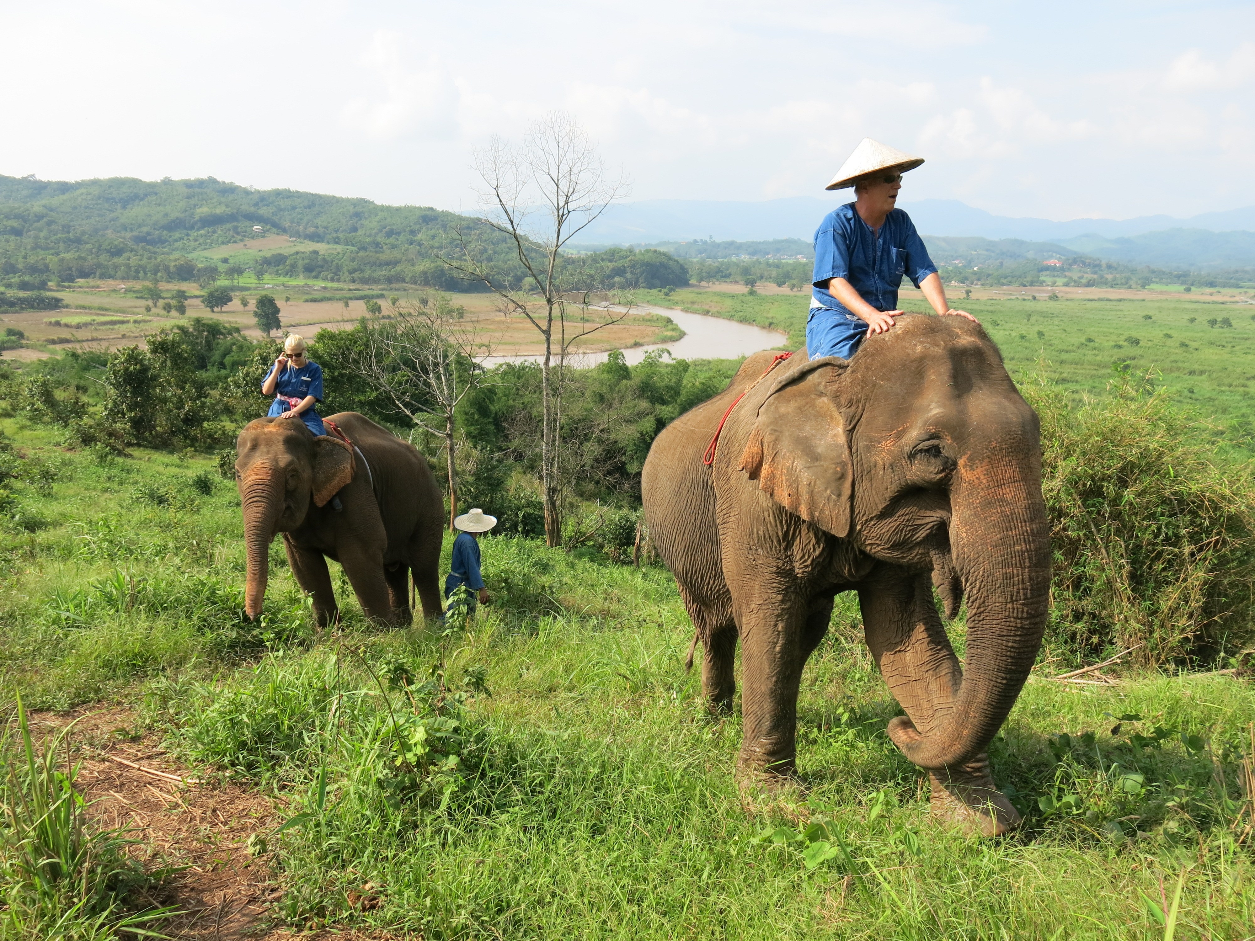The Mekong Elephant Camp
